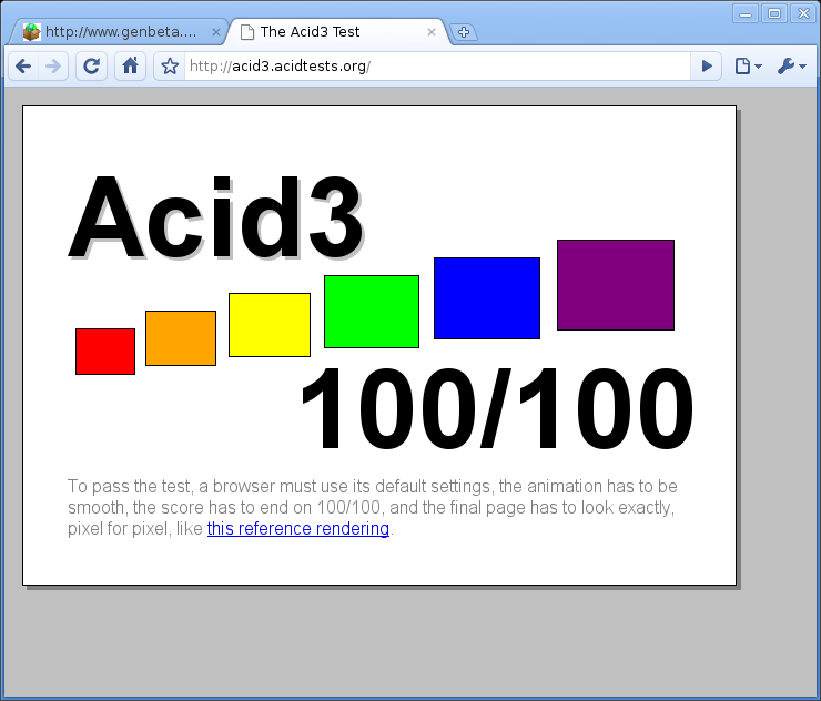 Pantallazo-The Acid3 Test - Google Chrome